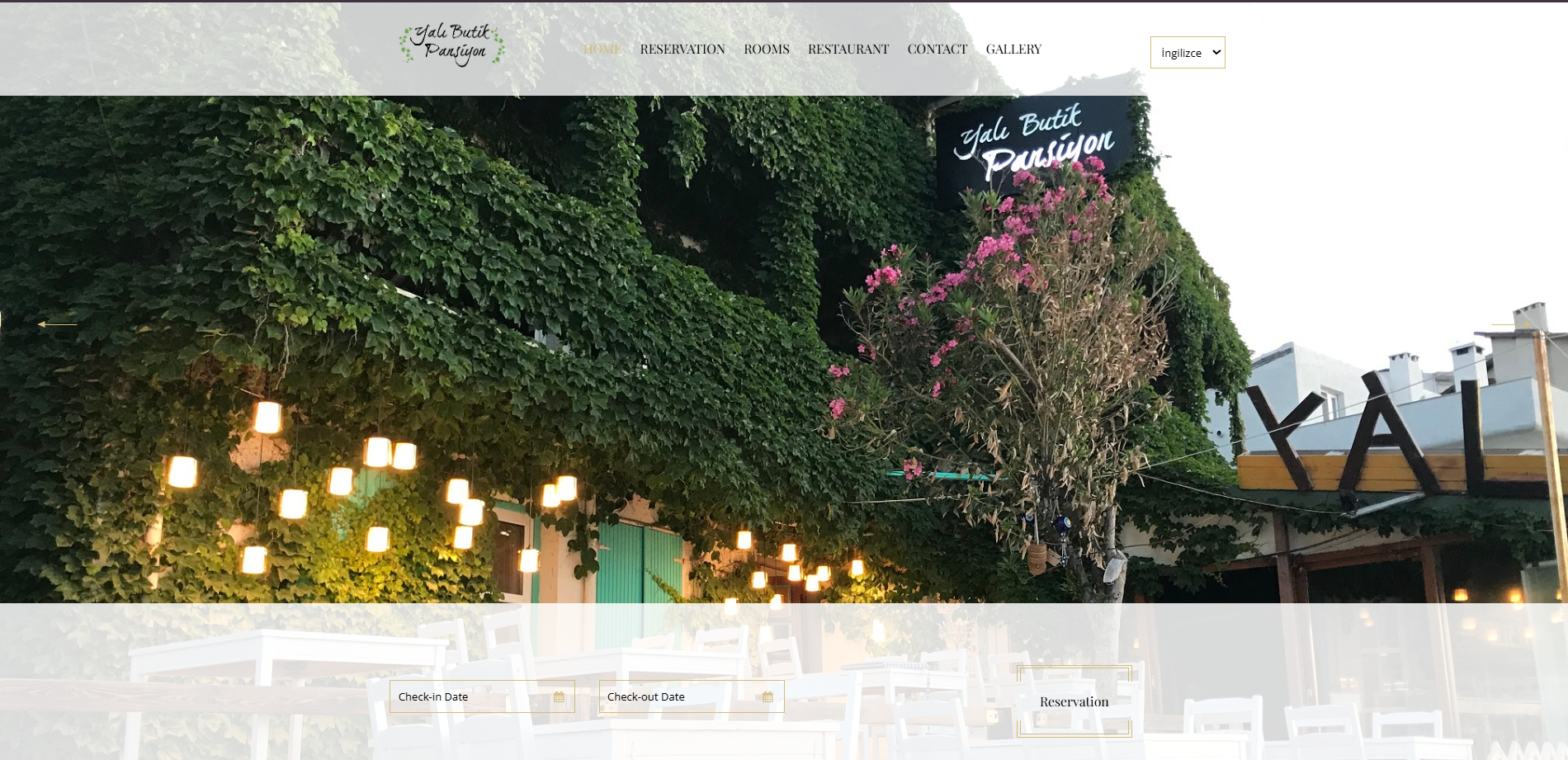 Hotel website package